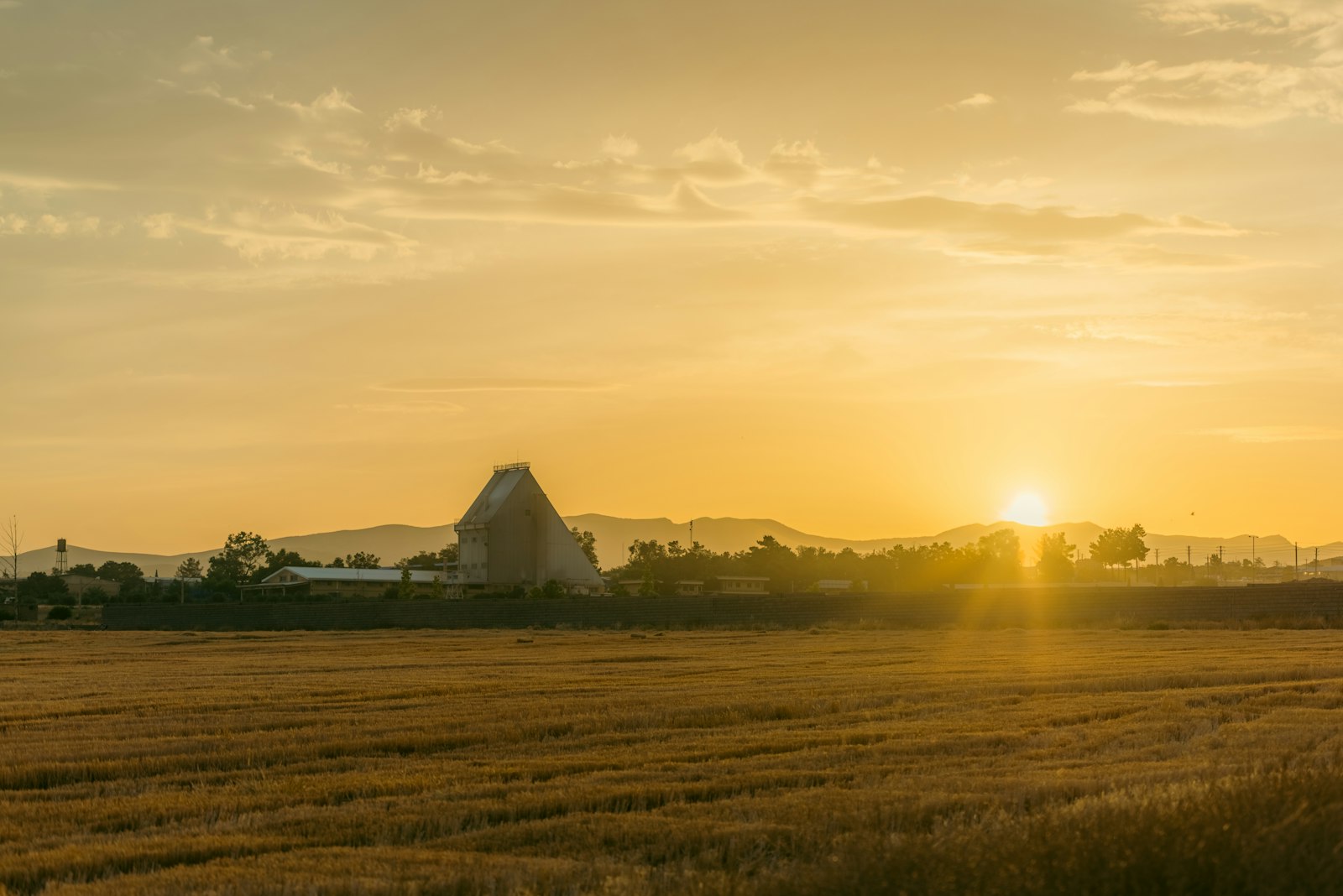 Sun setting over a field of ripening wheat.