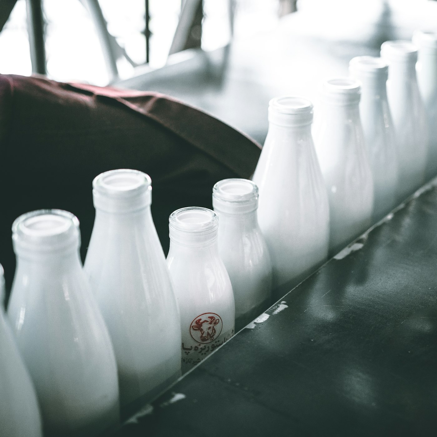 Glass bottles of fresh milk on a table.
