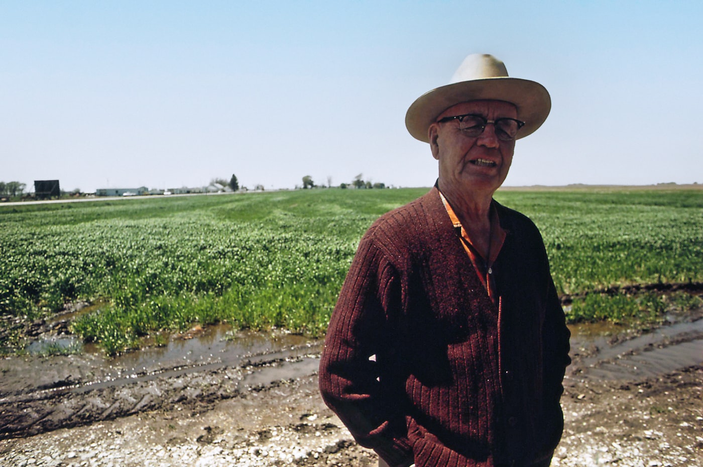 A farm worker in a wide-brimmed hat standing among the crop.