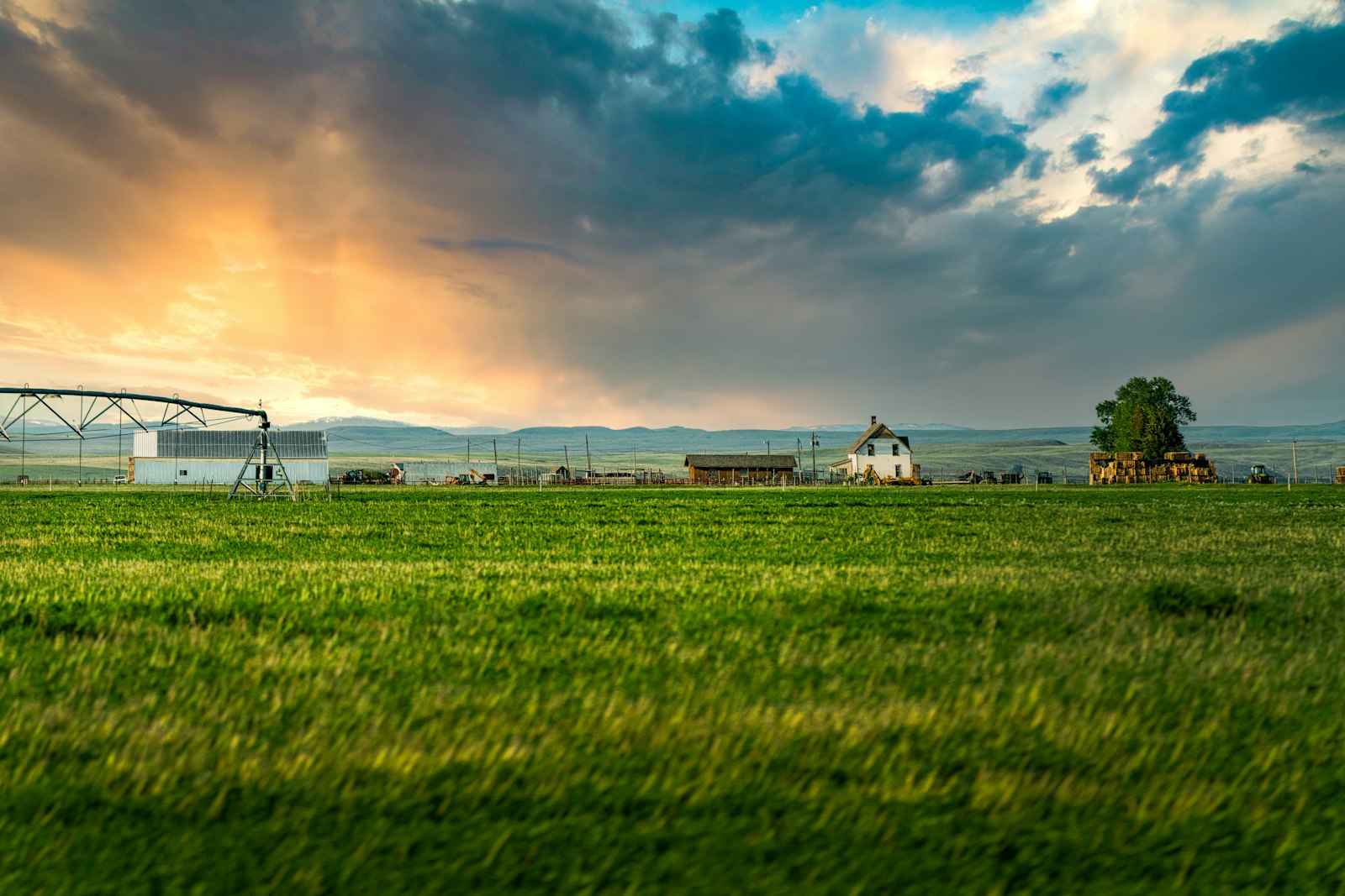 Farm buildings set behind open pasture under a wide sky.