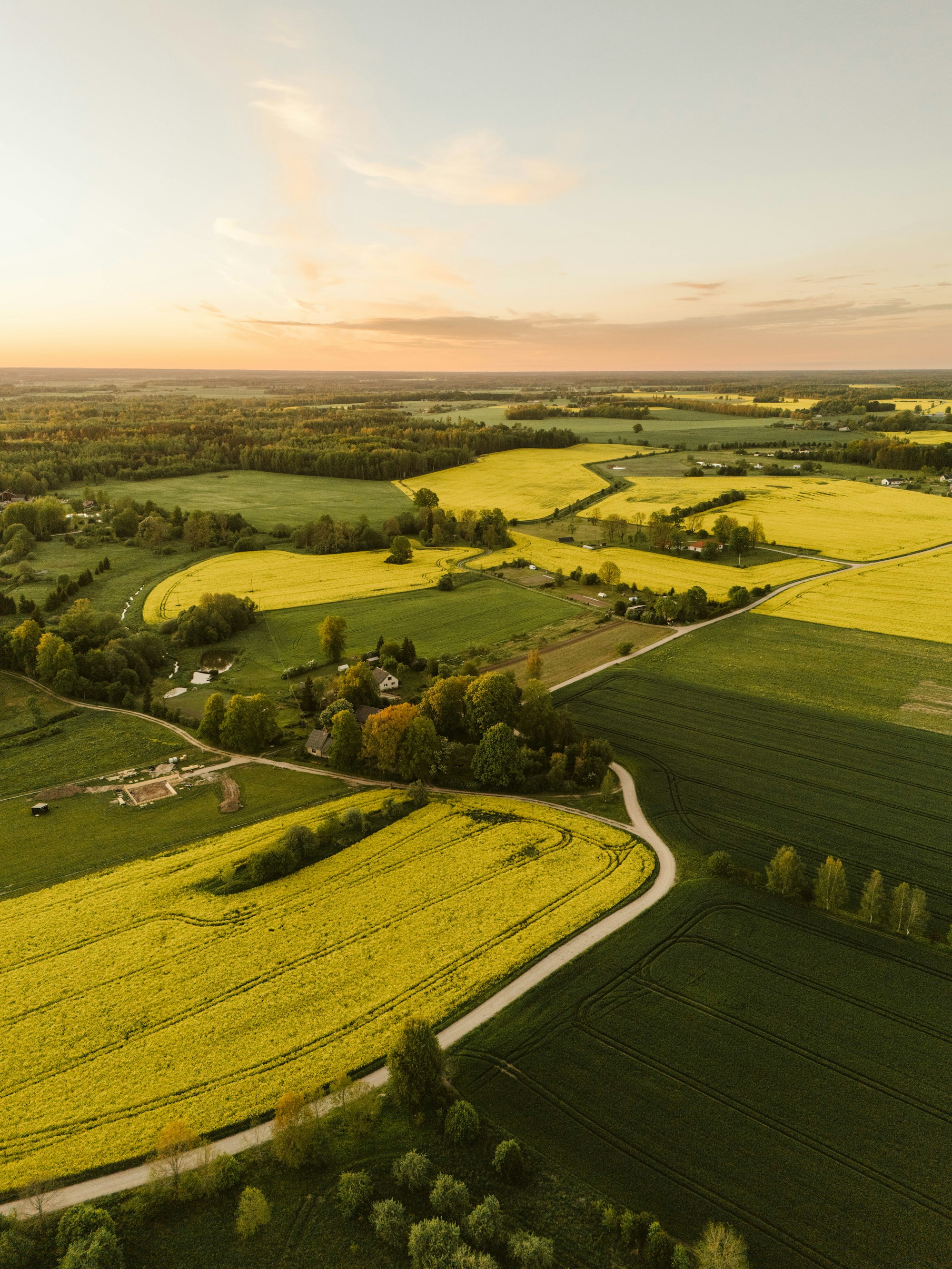 Farmland at sunset divided into cultivated blocks by tracks and canals.